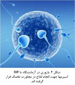 ART for infertility treatment fig 2
